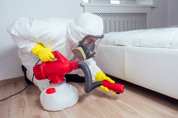 Best Bed Bug Extermination  in Canton, MO