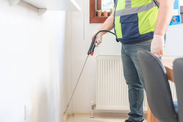 Best Pest Removal Services  in Canton, MO