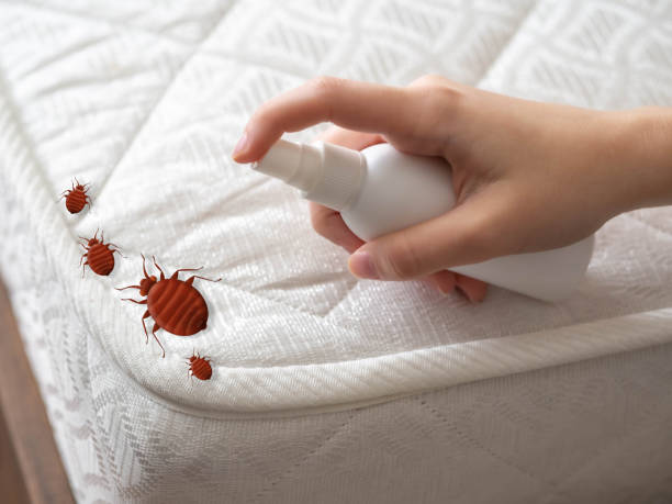 Canton, MO Pest Control Company